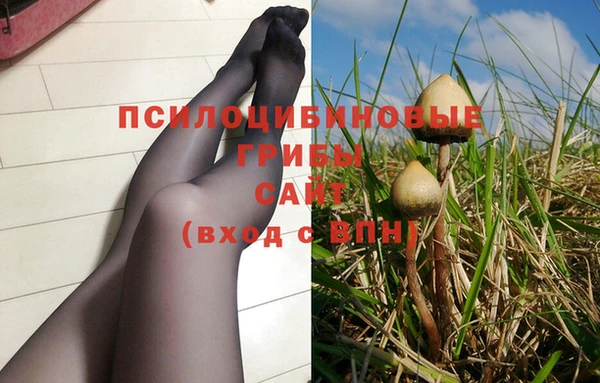 дживик Армянск