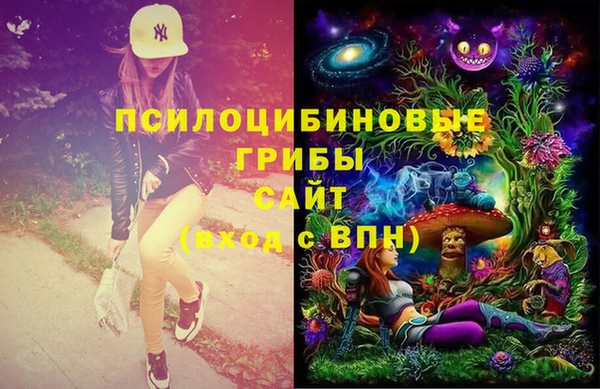 винт Аркадак