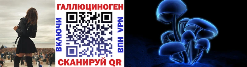 Купить где  Сухой Лог  Галлюциногенные грибы Psilocybe 