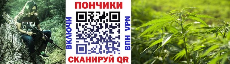 Купить где  Сухой Лог  Конопля тримм 